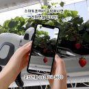 (주)서진팜 이미지