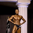 메이트 피티 이미지