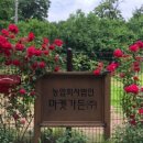 예스마켓 이미지