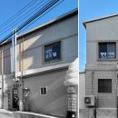 댕댕아띠 이미지