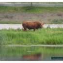 남성현초등학교 이미지