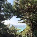 CU제주김녕리점 | 제주도 여행기 2 - 김녕 투어와 혼술바 추천