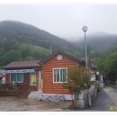 인생포장마차 이미지