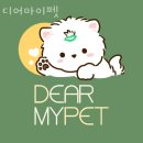 디어마이펫 | 인천 간석동 강아지분양 디어마이펫 업체 정보 후기