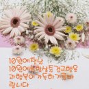 항상좋은날 이미지