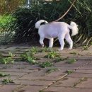 온누리 동물의료센터 이미지