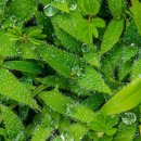 행정사 김문환사무소 이미지