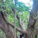 감악산민박 이미지