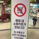 [김포 풍무 이마트 트레이더스] 주차꿀팁 및 쇼핑후기