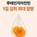 헬스플로 | 대원헬스 루테인지아잔틴아스타잔틴 루지아플로 눈노화 눈피로 동시 관리 후기