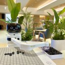 멀티 플라자 | 서울디지털동행플라자 도봉센터 : 도봉구민회관 시니어 디지털 복합문화공간 / 개관식