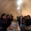 창원위탁급식소 | 겨울 제주도 여행, 여자 혼자 3박 4일 코스 ✔️버킷리스트