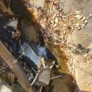 내촌농협하나로마트 이미지