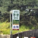삼화리동광캠핑장 - 1294 | 삼화리동광캠핑장