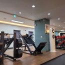 더엠휘트니스