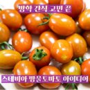 방학 간식 고민 끝! 달콤하게 즐기는 스테비아 방울토마토 스낵 아이디어