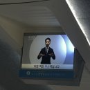 실이 그루밍 이미지