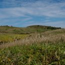 은빛추억 이미지