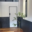 도안문화공원풋살장 | 대전 도안동 베이글 맛집 굿베이글 도안점 방문 후기 (3월 6일 오픈)