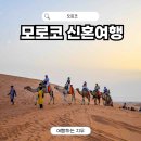 오다스텐드 | 모로코 신혼여행 경비 일정 코스 오다투어 패키지 후기
