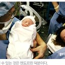 엔돌핀