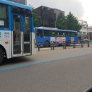 다모아호 이미지