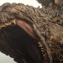 Lucky Bros 이미지