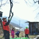 장성남창계곡