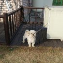 향남아이비어린이집 이미지