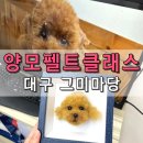 그미마당(keumimadang) | 대구 강아지수제간식 양모펠트 공방 원데이클래스 그미마당