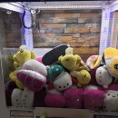 24시 뽑기방 이미지