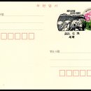 제주 토끼섬 문주란자생지 | 관광인 여행....1,157. 제주특별자치도 제주시 구좌읍 문주란로, 제주 토끼섬과 문주란 자생지.