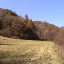 고원목장(2) 이미지