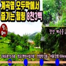 여주-0722 네이버블로그
