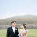 하연 네이버블로그