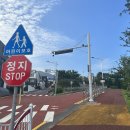 조성초교 이미지