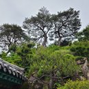 자장암 마애아미타여래삼존상 이미지