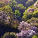 안마을 정자 앞 이미지