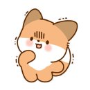 레인바우애견카페 이미지