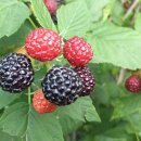 만인농장 이미지