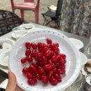 마루펜션 | [경기/연천] 연천동막계곡 취사가능 평상 내산마루펜션 대만족 후기 🩵