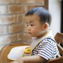 장수버섯마을 - 논산시 | 장수버섯마을