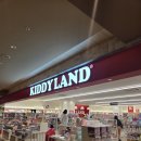 메가렌트카 | 구마모토 몬치치, 의약품, 면세점 쇼핑(메가돈키호테 비추천 이유)