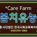 고고농장 이미지