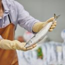 생선구이 이미지