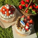 향기가득 원예교실(야간) | [12-1월 듬뿍일기] 추운 겨울을 보내는 농장 일상/ 단체 체험일정/ 딸기정원쌀케이크/ 초등학교 출강...