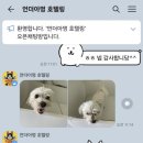언더아멍 이미지