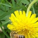 한라도만스쿨어린이집 이미지