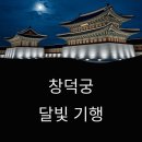 힐링되는 아름다운 소리, 칼림바 | 서울에서 가장 아름다운 밤! 창덕궁 야간 관람 후기 🌙✨