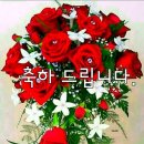캠핑트리 - 수성구 지범로23길 14-1 | 캠핑트리